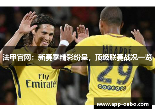 法甲官网：新赛季精彩纷呈，顶级联赛战况一览